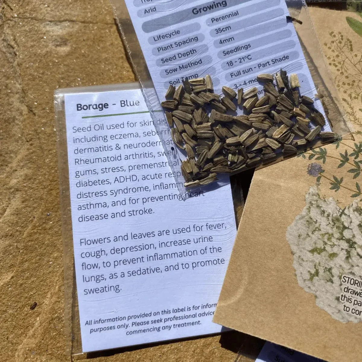 borage seed packet information