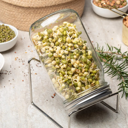 Mung Bean Sprouting Seeds