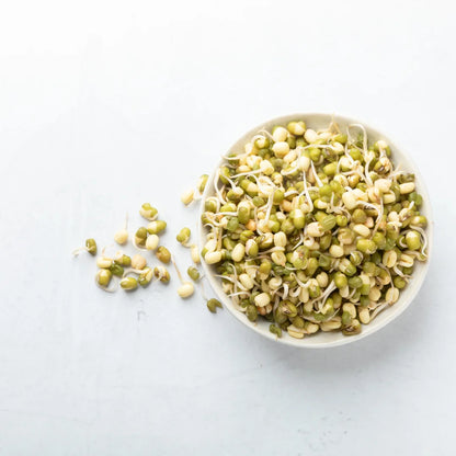 Mung Bean Sprouting Seeds