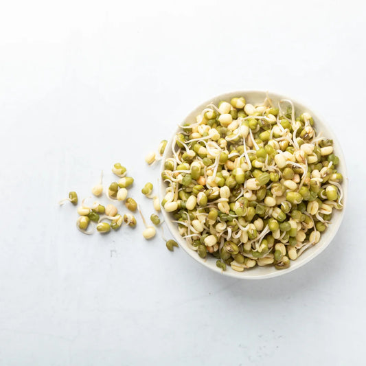 Mung Bean Sprouting Seeds