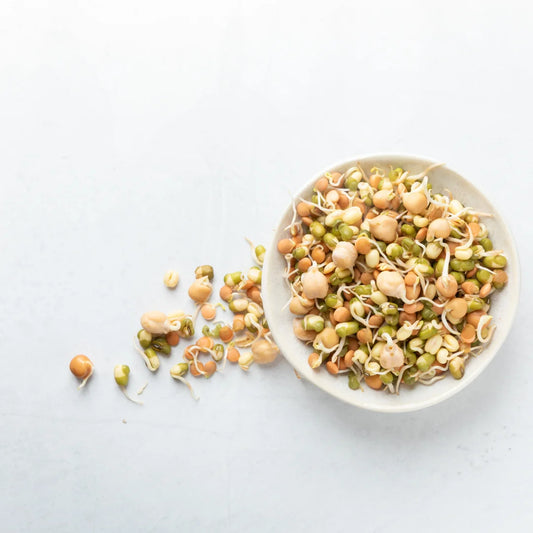 Plant Protein Mix
