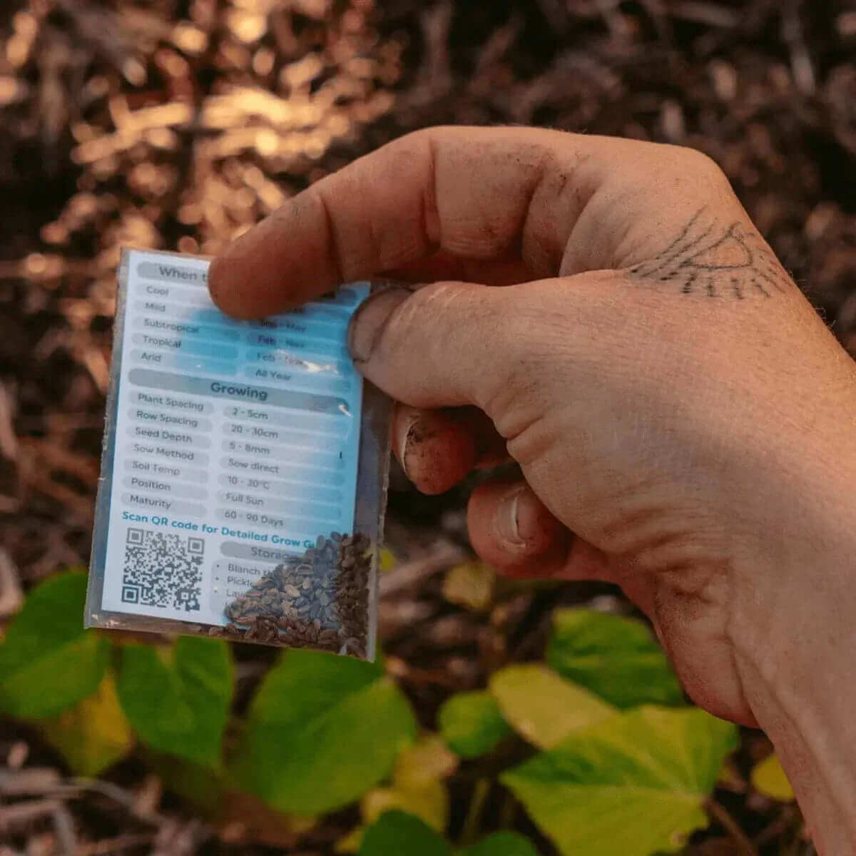 Planting and growing instructions for successful heirloom seed gardening