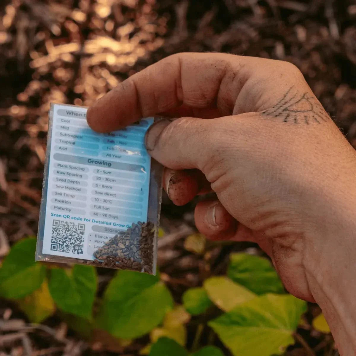 Hand holding heirloom seed packet in garden soil, promoting sustainability and home gardening with a Seed Subscription.