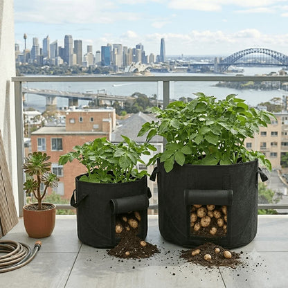 Potato Grow Bags