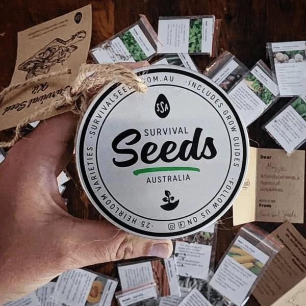 Survival Seed Tin held in hand for long-term heirloom seed storage
