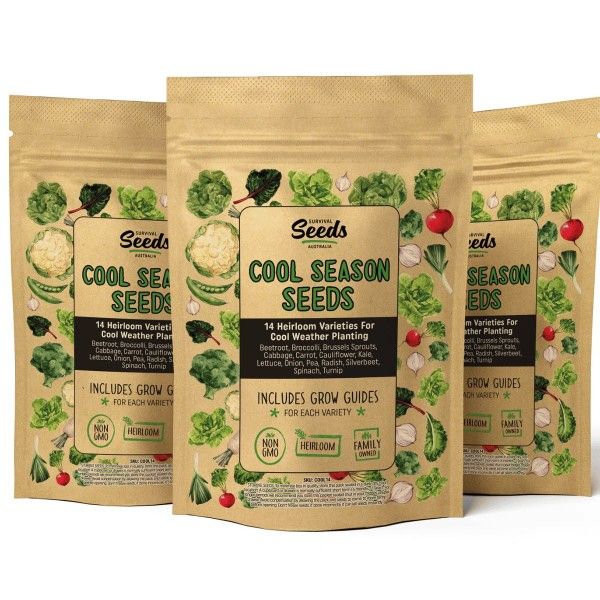 Autumn and winter vegetable seed kit for cool-season gardening