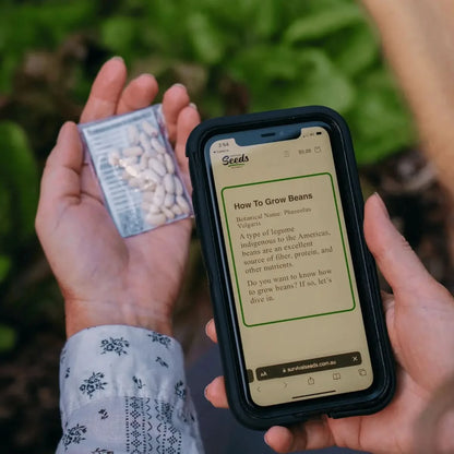 Person holding a phone displaying bean growing instructions and a packet of seeds.