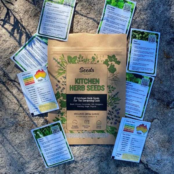 Assorted kitchen herb seed packets for home herb gardening