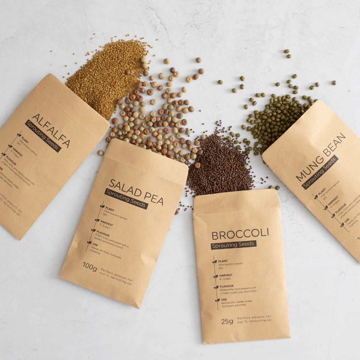 Sprouting Seed Bundle