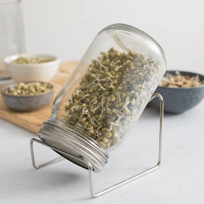 Premium sprouting kit with seeds for healthy homegrown sprouts