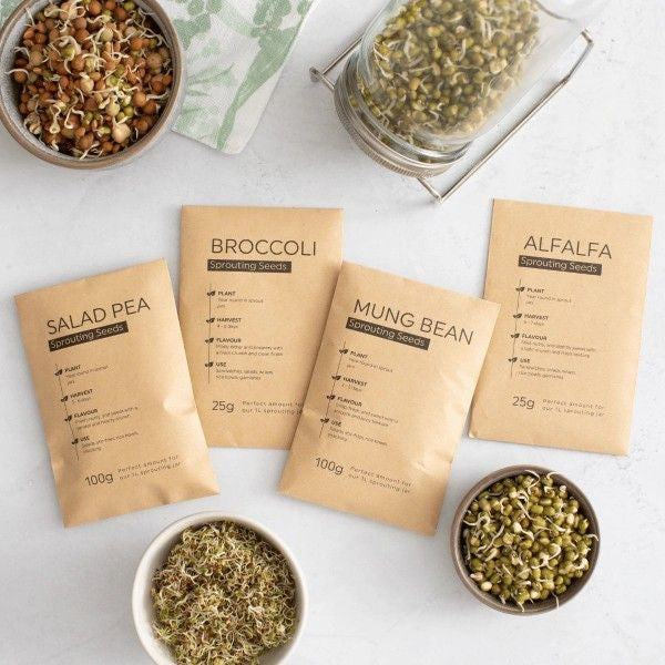 Home sprouting kit for growing nutritious sprouts and microgreens indoors
