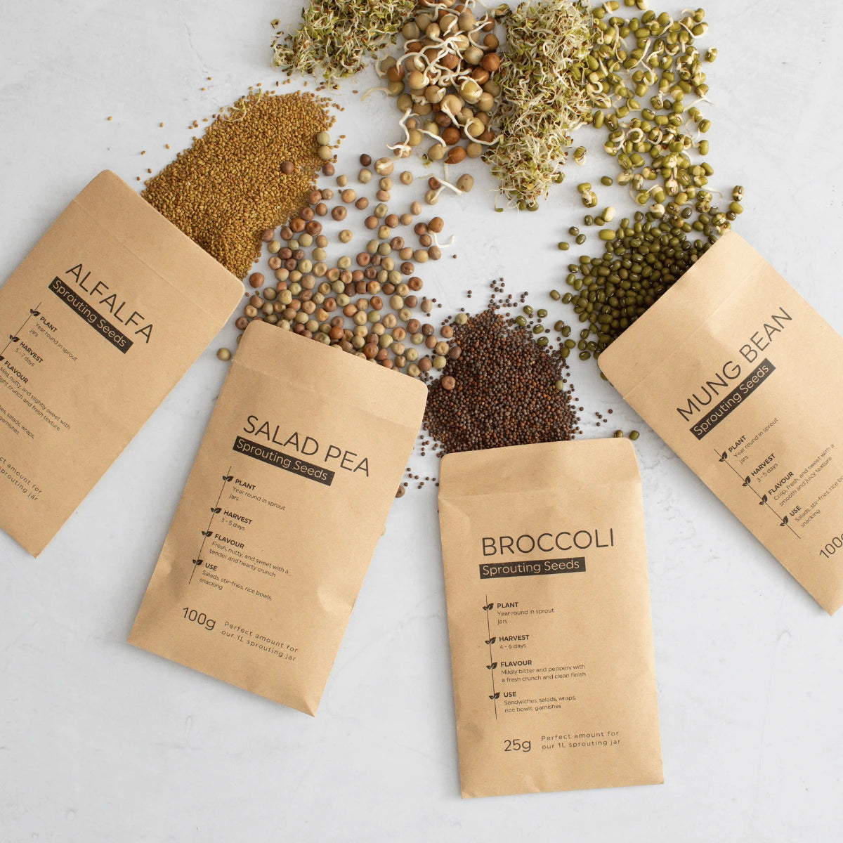 A Simple Guide to Sprouting Seeds Safely