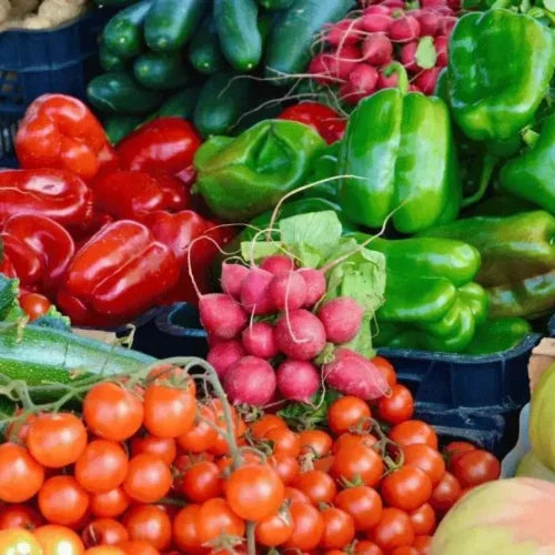 What to Plant Seeds In (And What to Avoid)