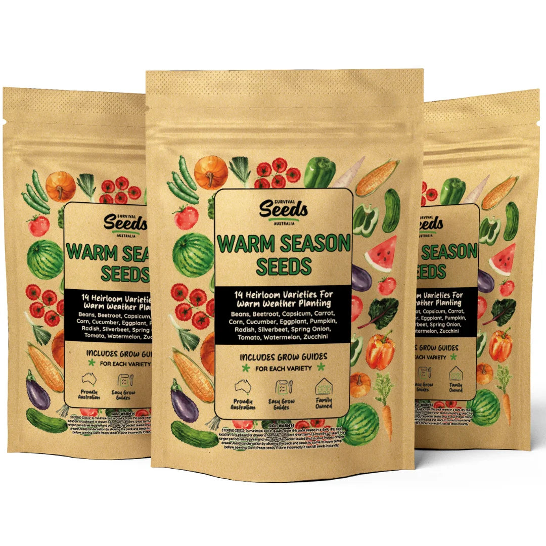 Spring and Summer Seeds