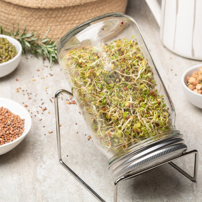 Zesty Salad Mix