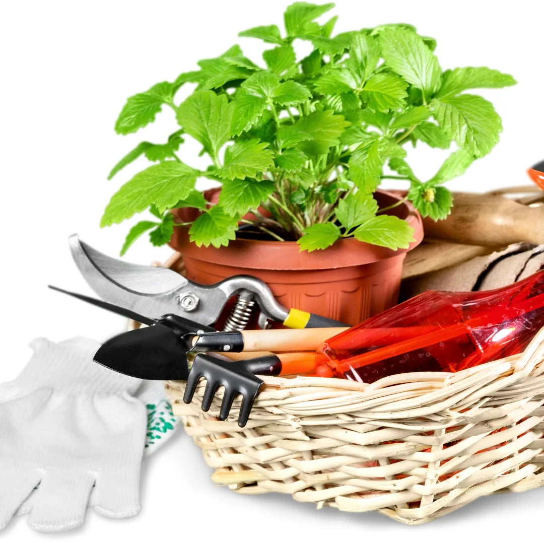 The Ultimate Guide To Gardening Gift Baskets