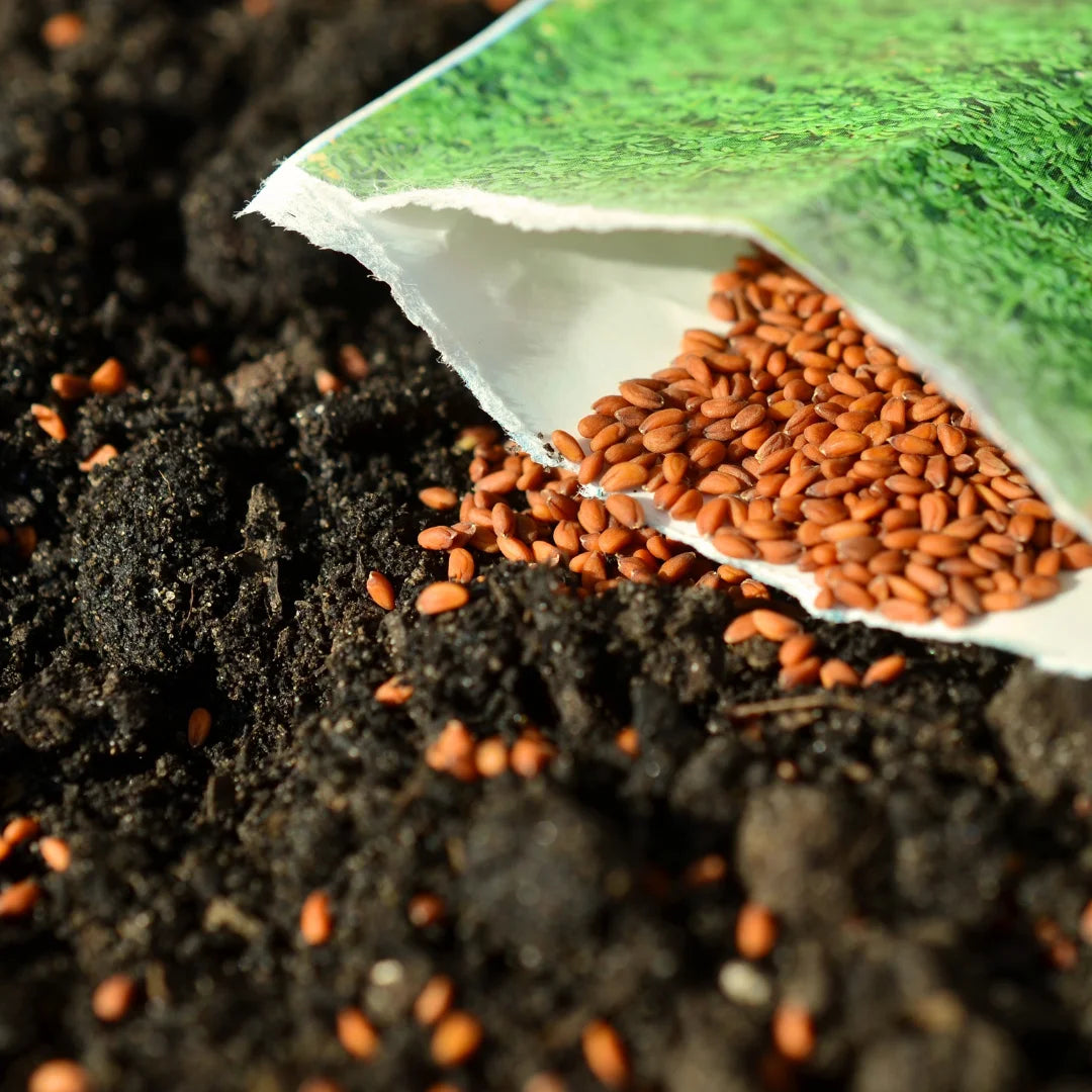 Unlock The Health Benefits Of Heirloom Seeds