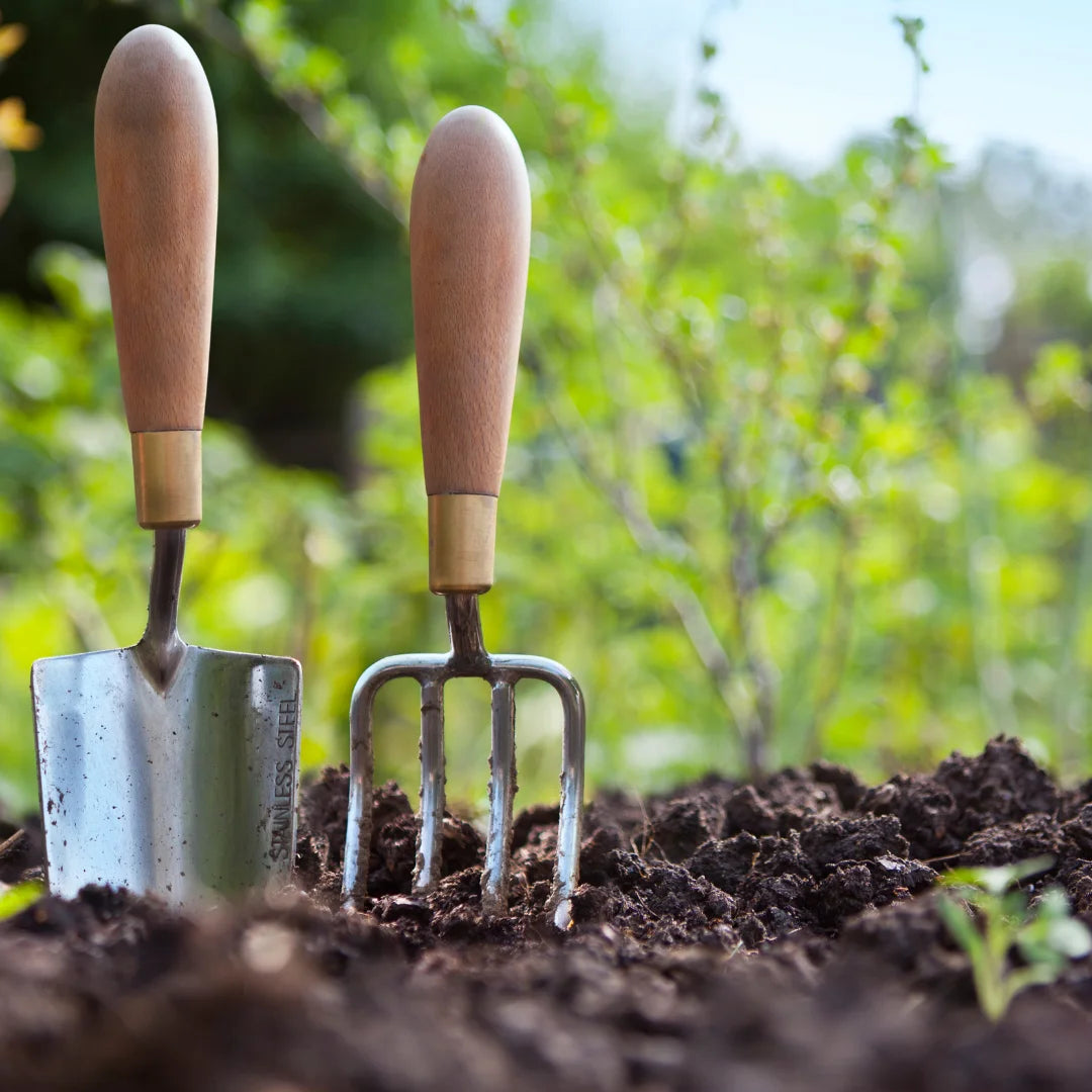 garden tools in soil